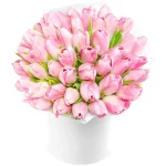 Бокс из 51 розового тюльпана